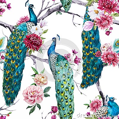 Watercolor peacock and flowers pattern Vector Illustration