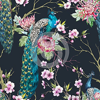 Watercolor peacock pattern Stock Photo