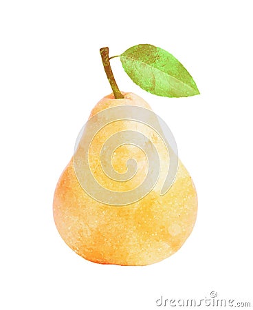 Watercolor Pear fruit with leaf on white Vector Illustration