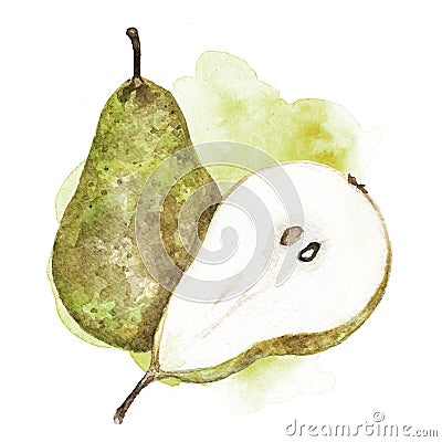 Watercolor pear illustration Cartoon Illustration