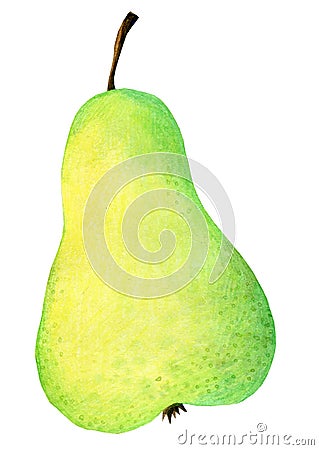 Watercolor pear Stock Photo