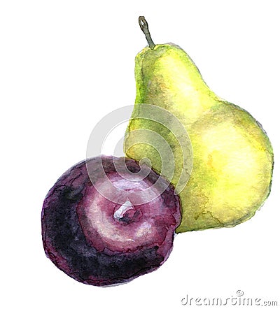 Watercolor pear and plum Stock Photo