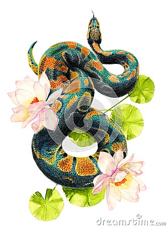 Watercolor pencil illustration of a green snake Cartoon Illustration