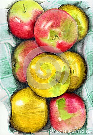 Watercolor pencil illustration of some red and yellow juicy apples Cartoon Illustration
