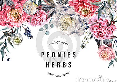 Watercolor Peonies Horizontal Backdrop Stock Photo