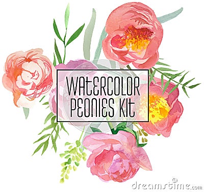 Watercolor Peonies Kit Vector Illustration
