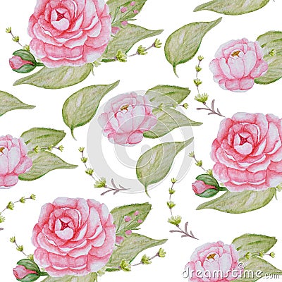 Watercolor Peony Flowers pattern, Pink Peonies texture, Romantic Scrapbook paper on white background Stock Photo