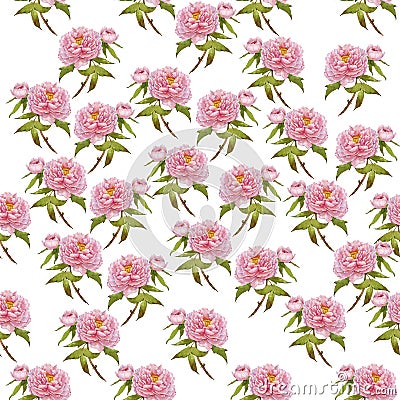 Watercolor peony pattern Stock Photo