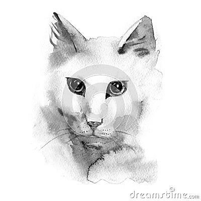 Watercolor photorealistic illustration - white cat Cartoon Illustration