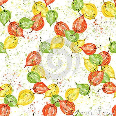 Watercolor physalis seamless pattern. autumn berry illustration. botanical background. Seamless pattern with hand drawn watercolor Cartoon Illustration