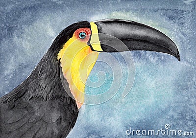 Watercolor picture of the colorful toucan bird with the big beak Stock Photo