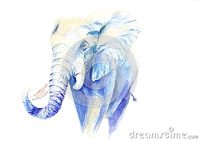 Watercolor picture of an elephant Stock Photo