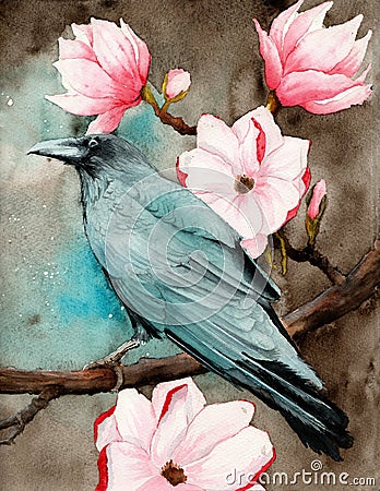 Watercolor picture of a raven on the magnolia Stock Photo