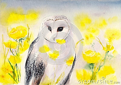 Watercolor snowy owl Stock Photo