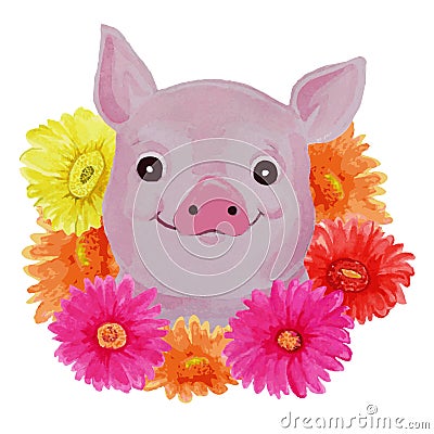 Watercolor pig and colored gerberas on a white background Cartoon Illustration