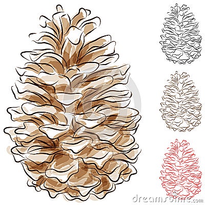 Watercolor Pine Cone Vector Illustration