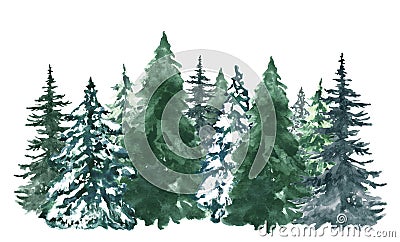 Watercolor pine trees background. Banner with hand painted evergreen forest, isolated. Snow winter wonderland illustration Cartoon Illustration