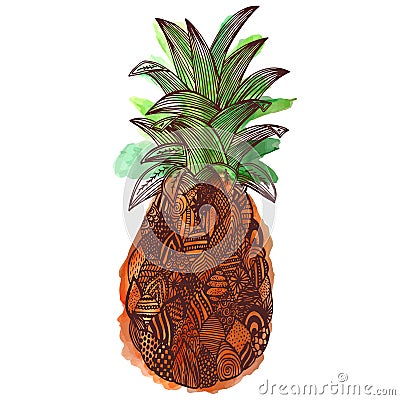 Watercolor pineapple on white background. Vector Illustration