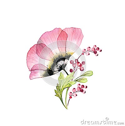 Watercolor pink anemone bouquet. Big transparent flower with leaves and berries isolated on white. Hand painted artwork Cartoon Illustration