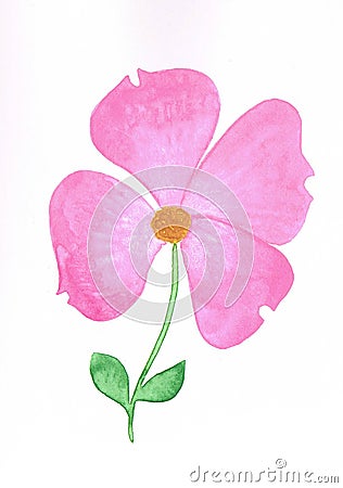 Watercolor pink dogwood flower handmade with paints and a brush Stock Photo