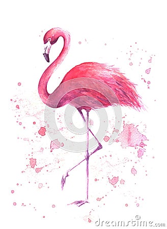 Watercolor pink flamingo Cartoon Illustration