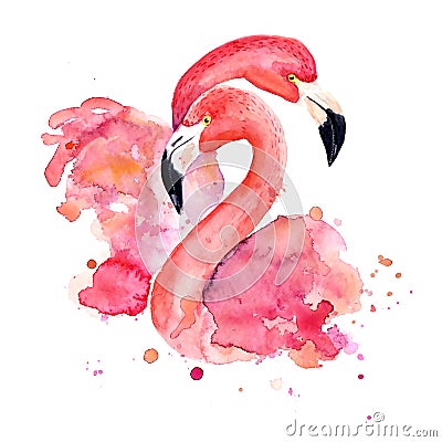 Watercolor pink flamingos Cartoon Illustration
