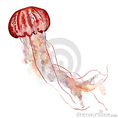 Watercolor pink jellyfish. Underwater animal illustration isolated on white background. For design, prints or background Cartoon Illustration