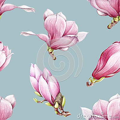 Watercolor pink magnolia blooming seamless pattern. Beautiful hand drawn tender spring blossoms on a blue background Stock Photo