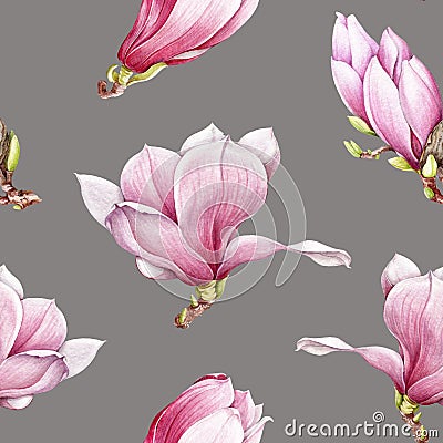 Watercolor pink magnolia blooming seamless pattern. Beautiful hand drawn tender spring blossoms on a gray background. Stock Photo