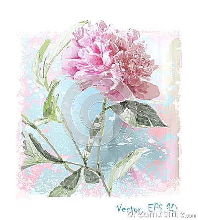 watercolor pink peony flower Vector Illustration
