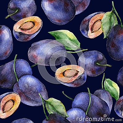 Watercolor plums Stock Photo