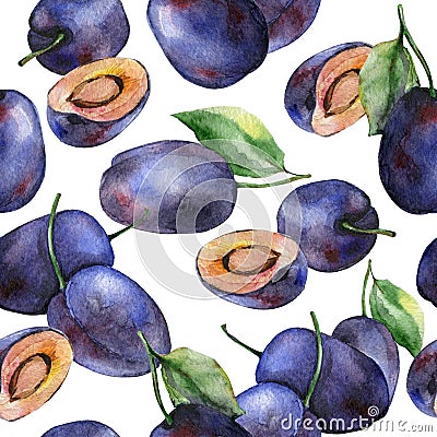 Watercolor plums Stock Photo