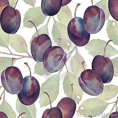Watercolor Plums twigs seamless pattern. Hand drawn botanical illustrations. Sketch with purple fruits. Isolated on Cartoon Illustration