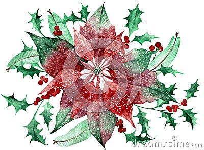 Watercolor poinsettia with Christmas floral decor. Hand painted traditional flower and plants Stock Photo