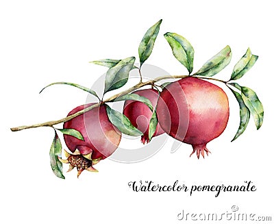 Watercolor pomegranate card. Hand painted garnet fruit on branch with leaves isolated on white background. Floral Cartoon Illustration