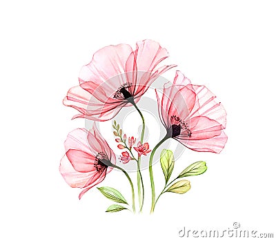 Watercolor Poppy bouquet. Three abstract red flowers and fresia isolated on white. Realistic hand painted artwork with Cartoon Illustration