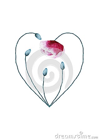 Watercolor poppy flower heart on white background Stock Photo