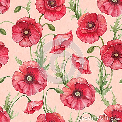 Watercolor poppy flowers Stock Photo