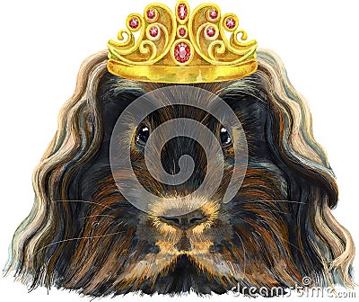 Watercolor portrait of Merino guinea pig in golden crown on white background Cartoon Illustration