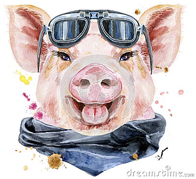 Watercolor portrait of pig with biker sunglasses Stock Photo