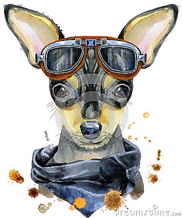 Watercolor portrait of toy terrier with biker sunglasses Cartoon Illustration