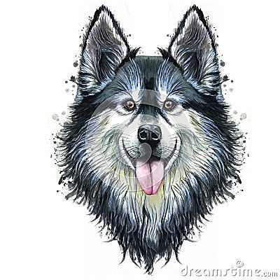 Watercolor print of a dog portrait of a or husky breed, a mammal animal on a white background with long hair, smiling for d Stock Photo