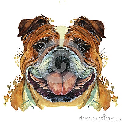 Watercolor printshop, print on the theme of the breed of dogs, mammals, animals, breed English bulldog, bulldog, portrait, color r Stock Photo