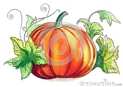 Watercolor pumkin Stock Photo