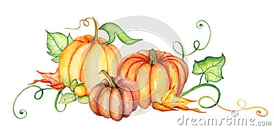 Watercolor pumpkin and autumn leaves. Harvest composition. Happy Thanksgiving day. Hand drawn illustration Cartoon Illustration