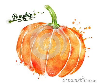 Watercolor pumpkin Cartoon Illustration