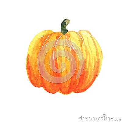 Watercolor pumpkin illustration on white background. Autumn harvest, for the holiday Halloween Cartoon Illustration