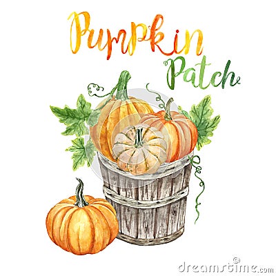 Watercolor pumpkin patch illustration. Bunch of orange pumkins in a wooden orchard basket, isolate. Autumn harvest decoration Cartoon Illustration