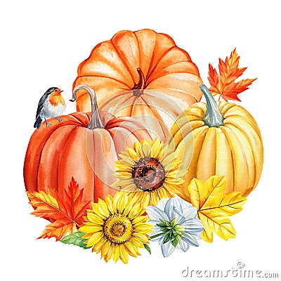 Watercolor pumpkin, sunflower and colorful leaves, autumn clipart. Watercolor floral illustration. Hand drawn pumpkins Cartoon Illustration