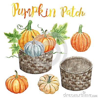 Watercolor pumpkins in a wicker orchard basket, isolated. Autumn harvest clipart, Thanksgiving day decor Cartoon Illustration